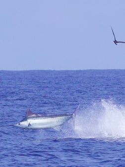 Fishing in Kaiminani, Hawaii