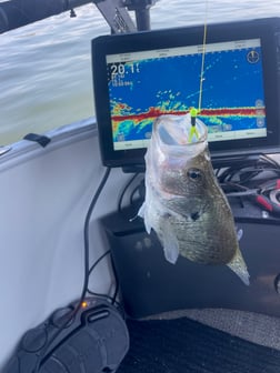 Fishing in Willis, Texas