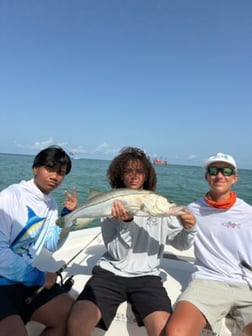 Fishing in Largo, Florida