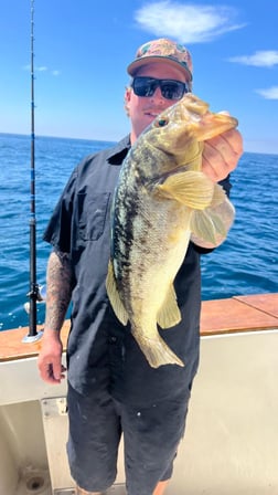 Fishing in Dana Point, California