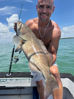 Fishing in St. Petersburg, Florida