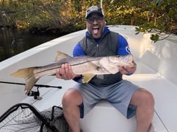 Fishing in Tampa, Florida