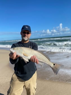 Redfish Fishing in Melbourne Beach, Florida