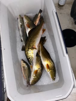 Fishing in Orange Beach, Alabama