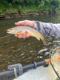 Fishing in Buffalo Valley, Tennessee