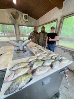 Fishing in Dardanelle, Arkansas