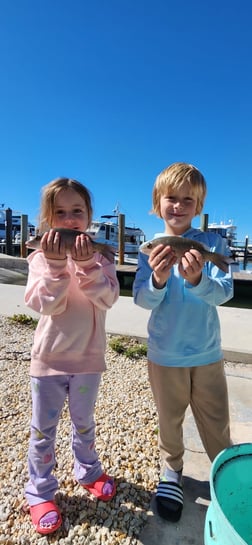 Fishing in Islamorada, Florida