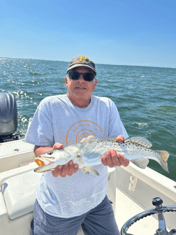 Fishing in Sarasota, Florida