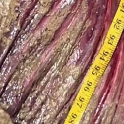 Fishing in Lufkin, Texas