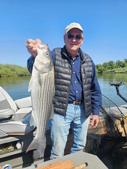 Fishing in Knights Landing, California