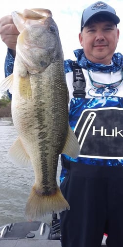 Fishing in Alba, Texas