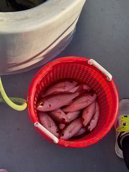 Fishing in Fort Walton Beach, Florida