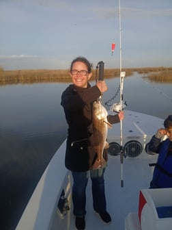 Fishing in Lafitte, Louisiana