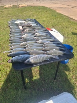 Fishing in Kingston, Oklahoma