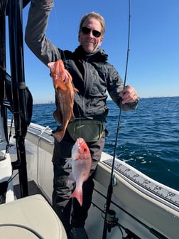 Fishing in Panama City, Florida