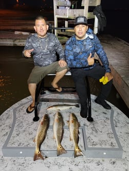 Redfish Fishing in Rio Hondo, Texas
