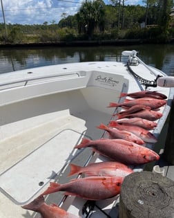 Triggerfish Fishing in Santa Rosa Beach, Florida
