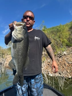 Fishing in Los Angeles, California