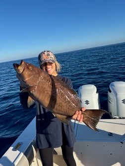 Fishing in Sarasota, Florida