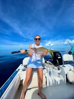 Mangrove Snapper, Yellowtail Snapper Fishing in Tavernier, Florida