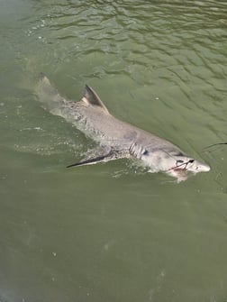 Fishing in Key Largo, Florida