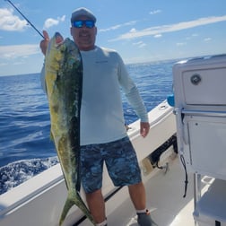 Fishing in Marathon, Florida
