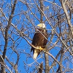 Fishing in Alba, Texas