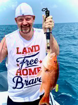 Triggerfish Fishing in Pensacola, Florida