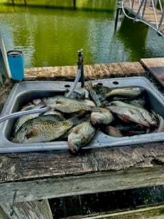 Fishing in Alba, Texas