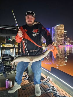 Fishing in Tampa, Florida