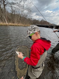 Fishing in Broken Bow, Oklahoma