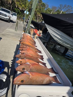 Fishing in St. Petersburg, Florida