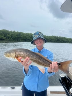 Fishing in Tarpon Springs, Florida
