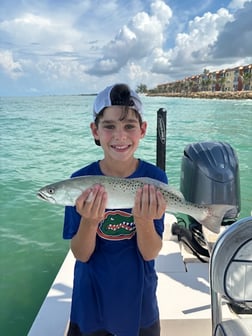 Fishing in Sarasota, Florida