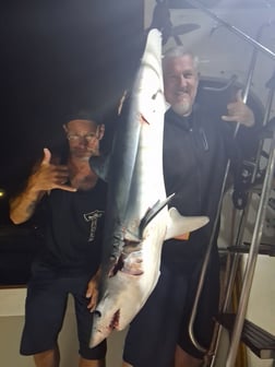 Fishing in Dana Point, California