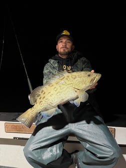 Fishing in St. Petersburg, Florida