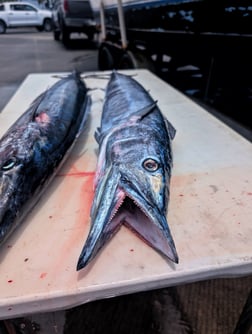 Fishing in Kailua-Kona, Hawaii
