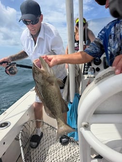 Fishing in Port Charlotte, Florida