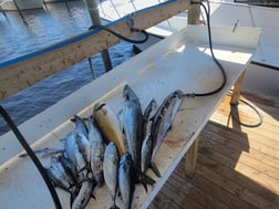 Fishing in Fort Morgan, Alabama