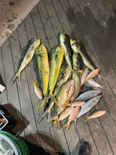 Fishing in Key West, Florida