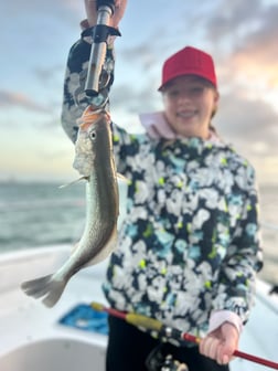 Fishing in Port Orange, Florida