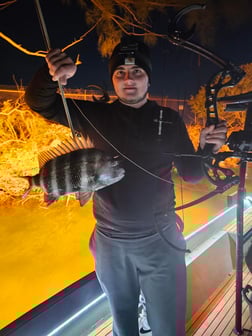 Fishing in Tampa, Florida