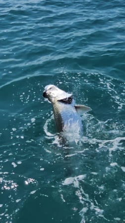 Fishing in Port Charlotte, Florida