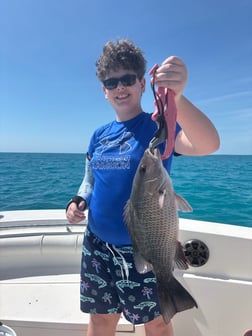 Fishing in Key Largo, Florida