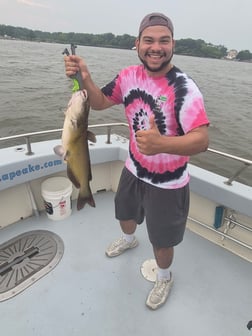 Fishing in Sparrows Point, Maryland