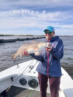 Fishing in Lafitte, Louisiana