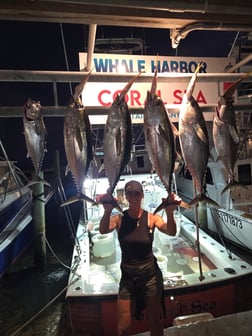 Fishing in Islamorada, Florida