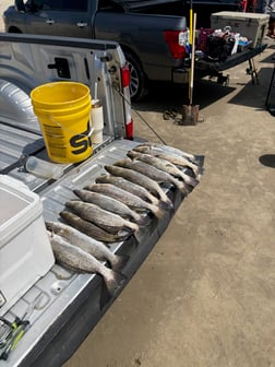 Fishing in Texas City, Texas