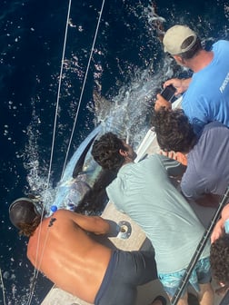 Fishing in Hatteras, North Carolina