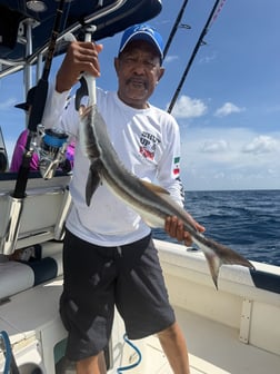 Fishing in Key Biscayne, Florida